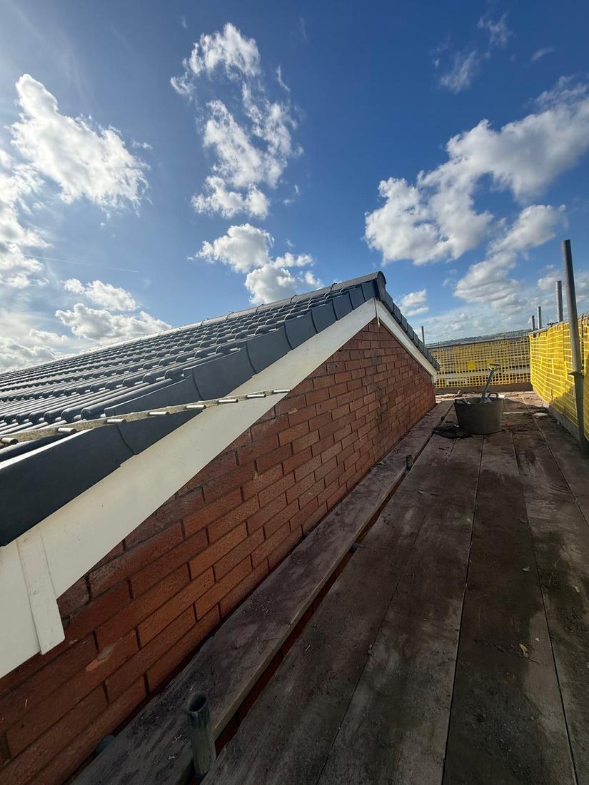 D & P job: new roofline